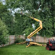 Best Palm Tree Trimming  in De Leon, TX